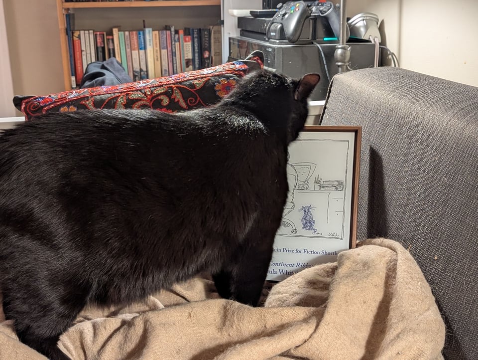 A black cat sniffs at an award plaque showing a scribbled cat sitting under a desk. Part of the legend "Prize for Fiction Shortlist" is visible.