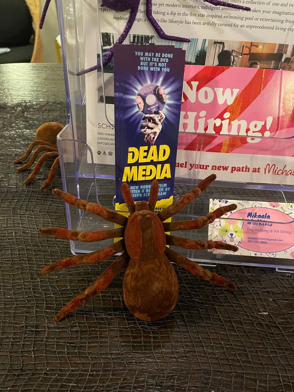 A plastic standee with promotional cards. The promotional card for Dead Media is surrounded by fake spiders