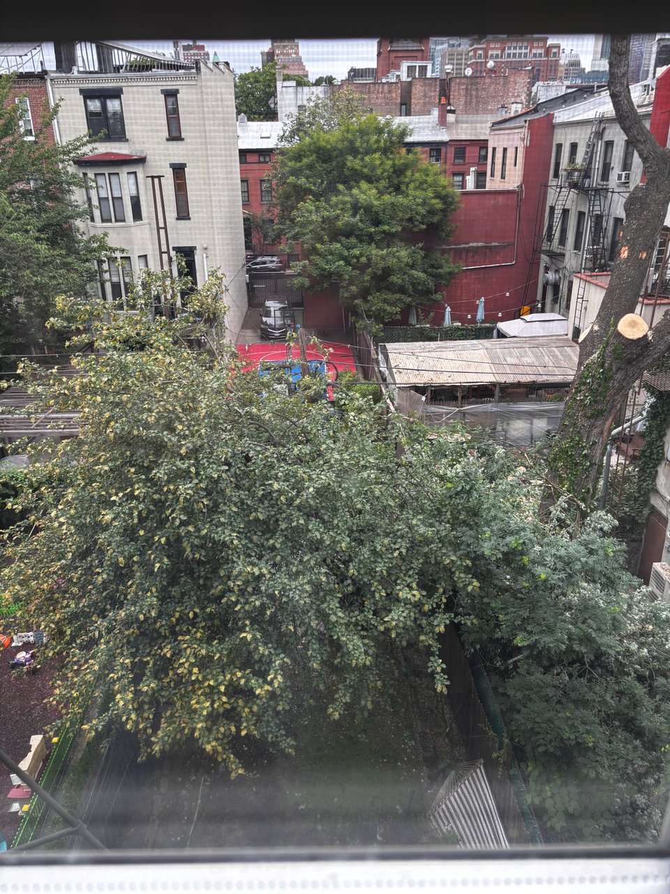 massive fallen tree limb in Brooklyn courtyard