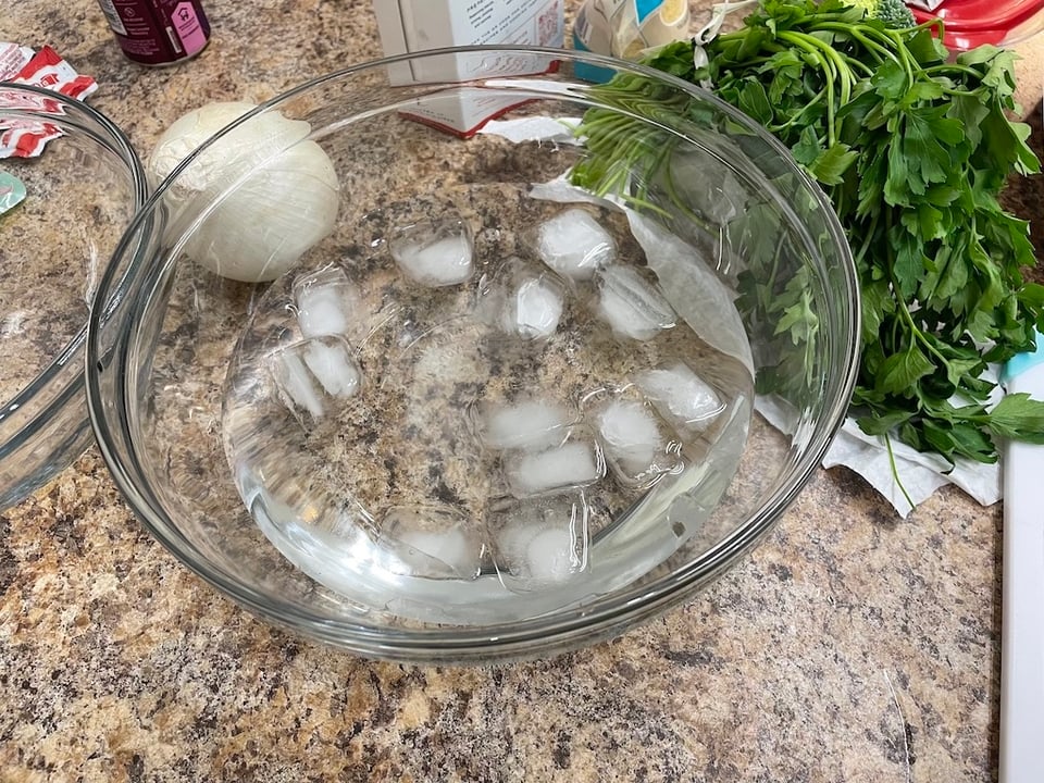 A bowl of ice AND an onion