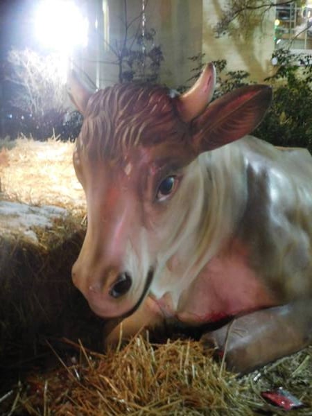 a painted, life-size plastic sculpture of a cow