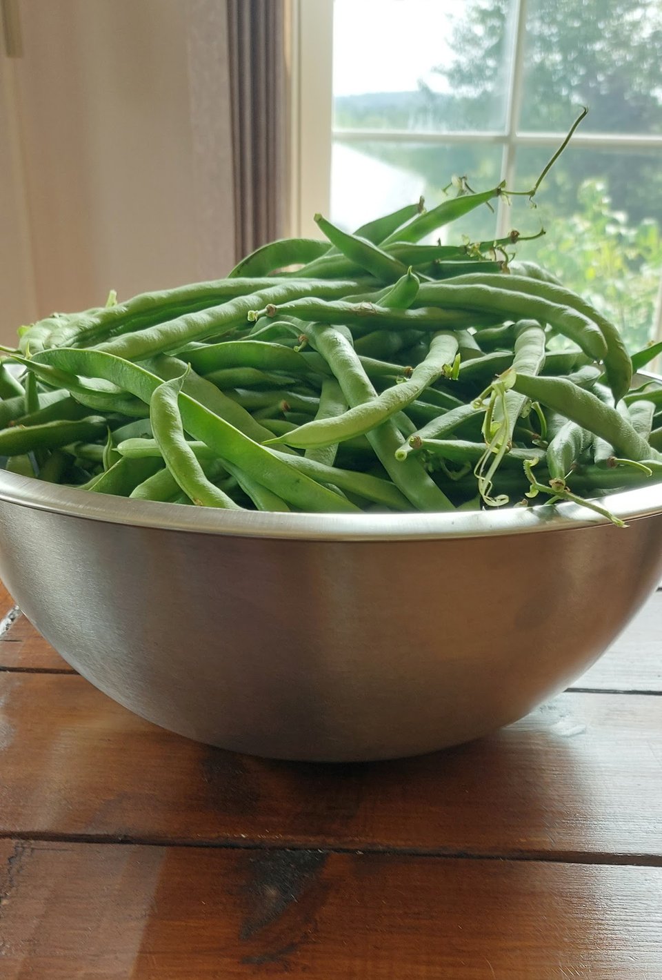 Bowl of beans from the garden