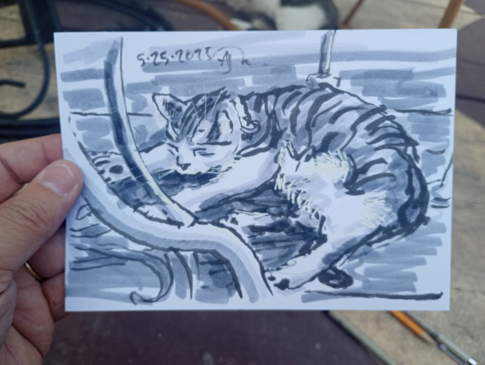 a drawing of Tippi the cat