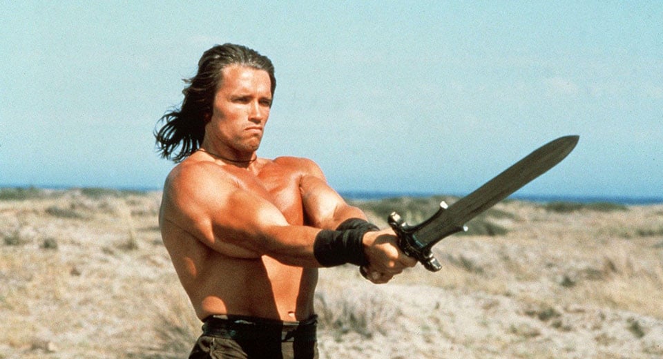 The author preparing for the rest of the year. In reality is Schwarzenegger in Conan the Barbarian holding a sword.