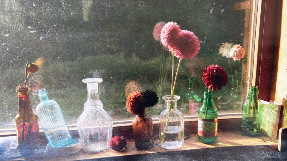 Some dahlias in an odd assortment of bottles and jars on a shelf by a window, sun streaming through