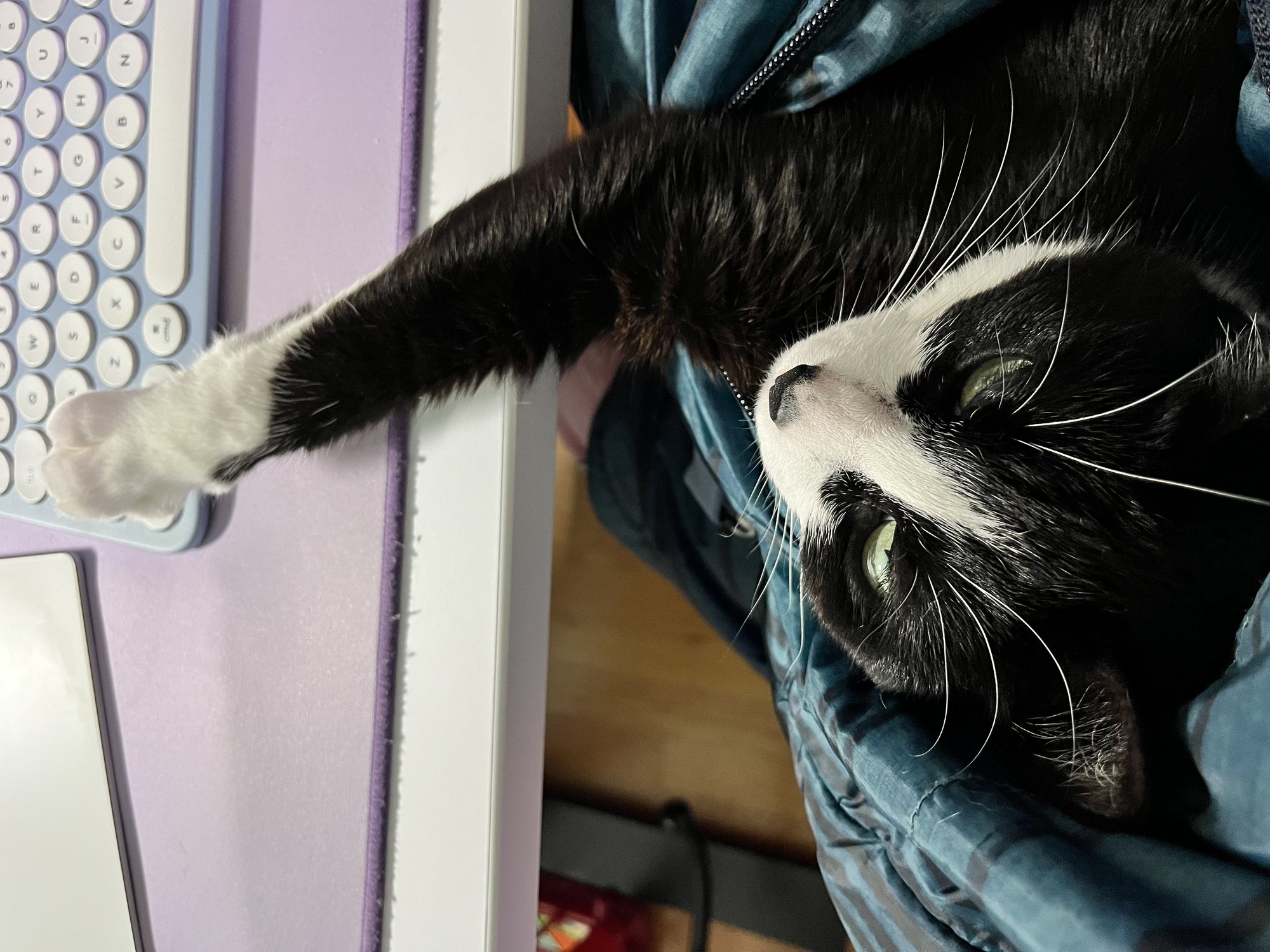 This is a really great subject line