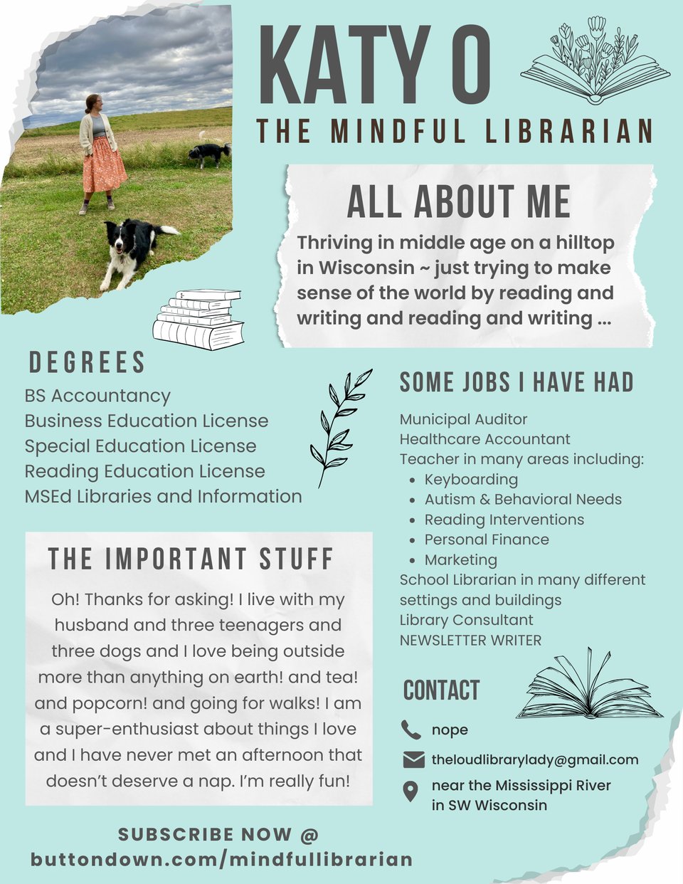an image of my resume - use the PDF link above to get the readable version!