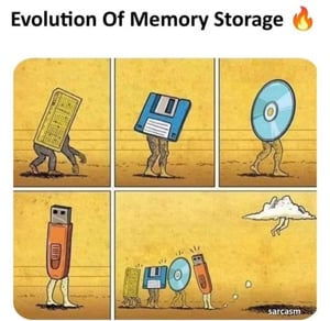Memory Evolution