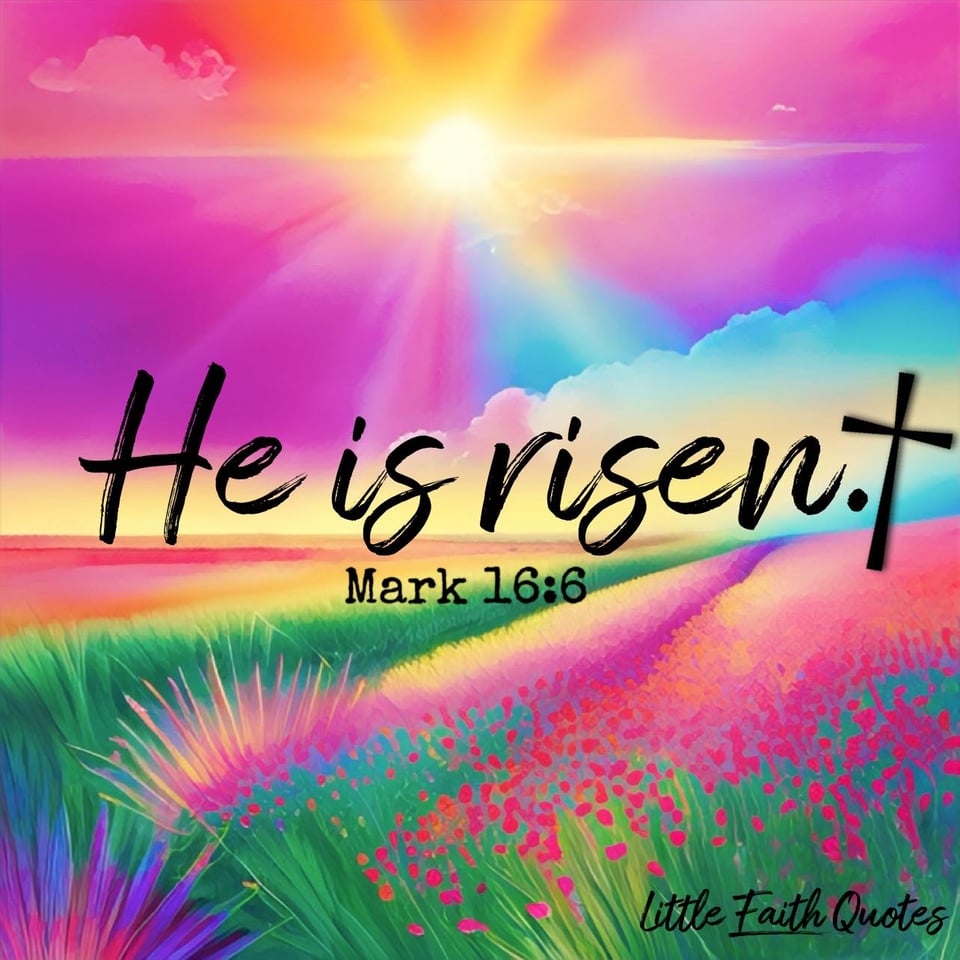 “Don’t be alarmed,” he said. “You are looking for Jesus the Nazarene, who was crucified. He has risen! He is not here. See the place where they laid him." ~Mark 16:6. The sun rises in a pink, blue, and purple sky. Fields of blue and pink flowers stretch as far as the eye can see. Image by: @Little Faith Quotes.