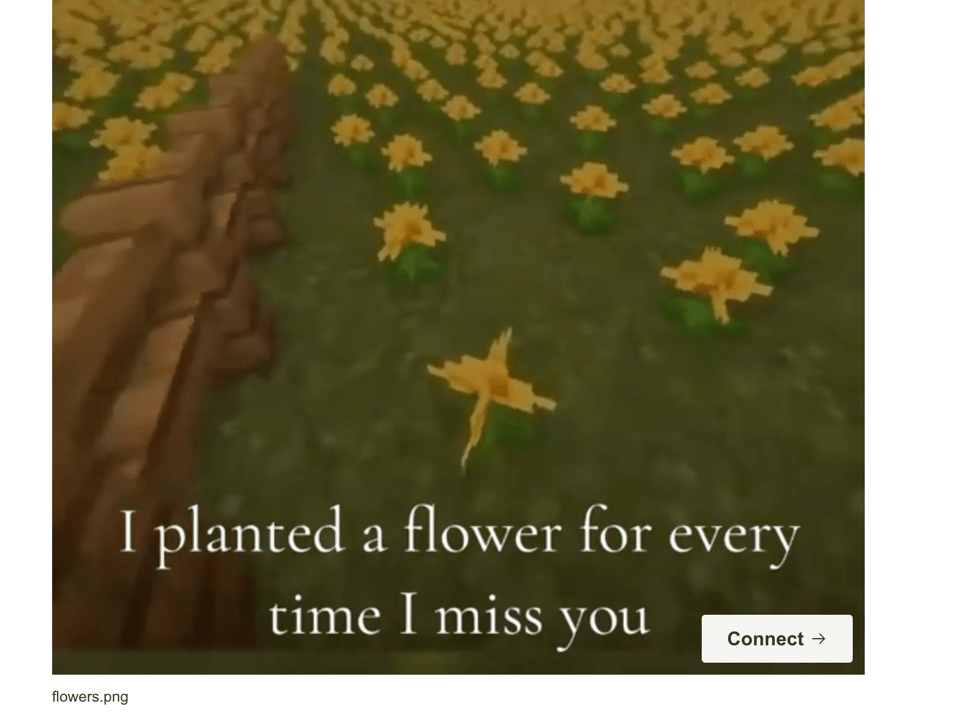 A Tiktok showing a field in Minecraft full of yellow flowers, with text that reads I planted a flower for every time I miss you.