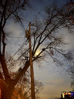 the moon shining from behind dark tree branches and a telephone pole in a grey-blue night with scattered clouds