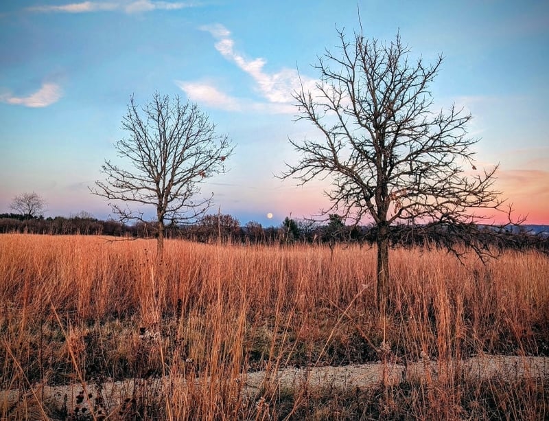 Our park’s lead ranger captured a supermoon rising above the park in November. / Photo by Jake Gaster