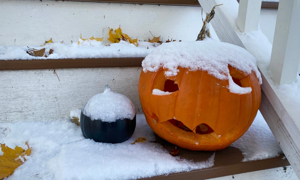 A round, brightly orange jack o lantern with about 1/4 of an inch of snow on it grins next to a small black pumpkin, similarly covered in snow. There are autumn leaves poking through the snow on the stairs where both they both sit