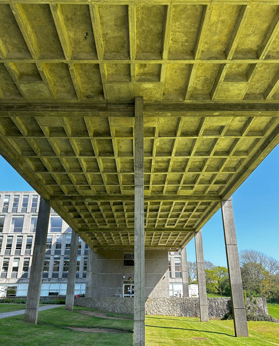 The underside of the raised wing. Slim concrete pillars hold the floor of the building 20 feet up in the air. The underside is a grid of coffered spaces. The bright southern sunshine is reflecting off the grass so the concrete glows green.
