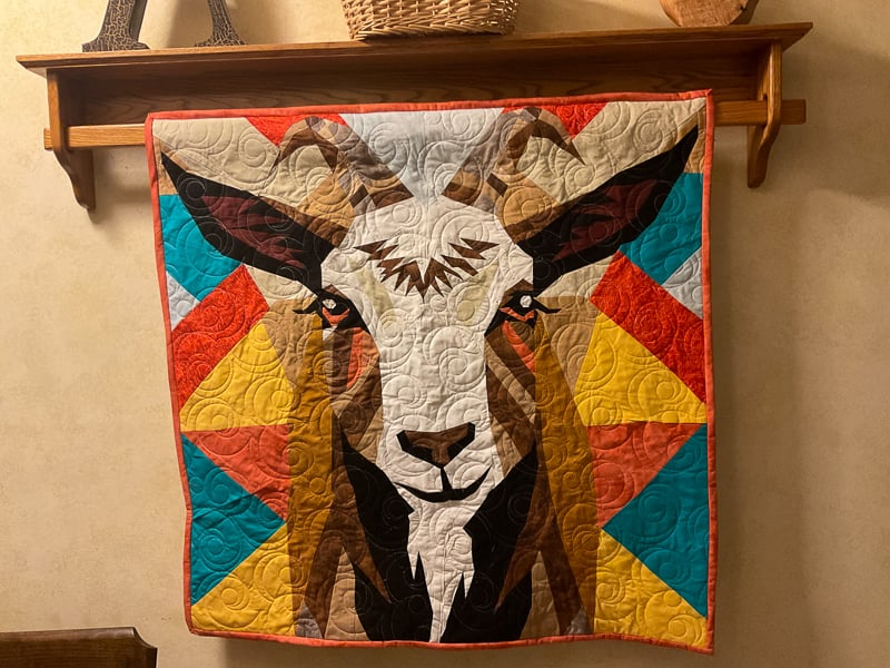 “Minnie,” 2026. A quilt pieced by Kathy Ause of Wacouta Township and quilted by Janell Adler of Lake City. This work honors the goats who spend their summers eating buckthorn in Frontenac State Park, and one in particular sometimes called White Lightning. This colorful quilt will be among more than 100 on display in the park on Saturday, June 13. Find more information here.