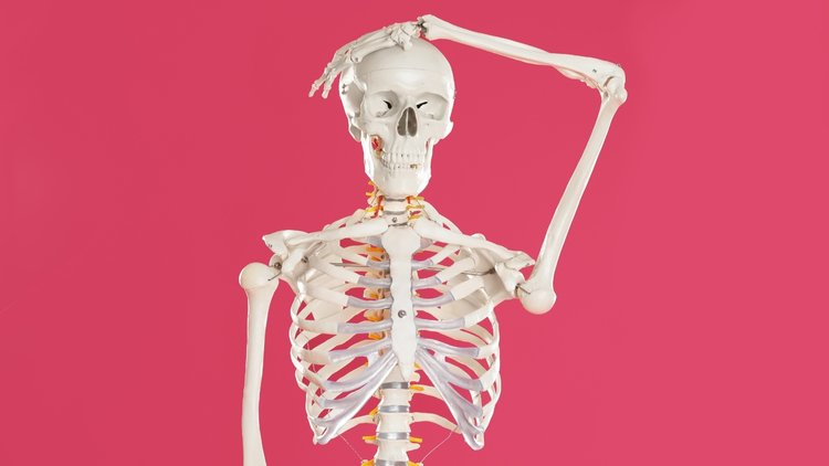 A scientific model of a skeleton has its left hand on its head. It stands against a hot pink backdrop.