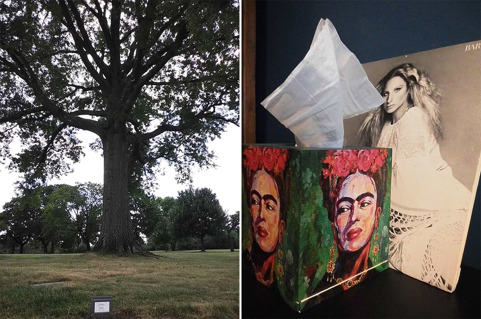 two digital Instax images: left, a large tree with lots of leaves, and a small grave marker in the foreground; right, a colorful Frida Kahlo tissue box with a tissue coming out, with a Barbra Streisand album behind it