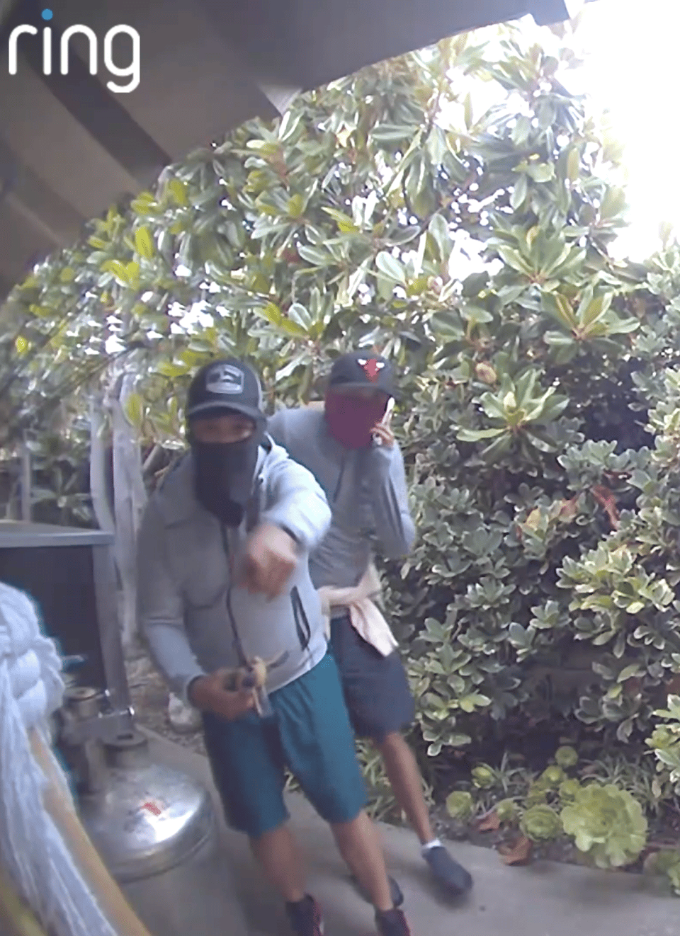 Dover Shores News - October