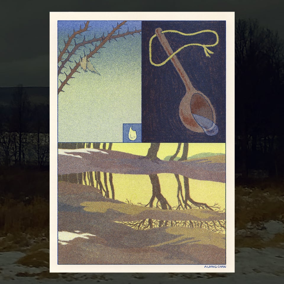 a riso print divided into 3 panels: a scrap of cloth caught on thorny branches and a small inset of an opened egg; a wooden ladle spilling water; bare trees reflected in a pond, the last remnants of snow on brown-green ground.