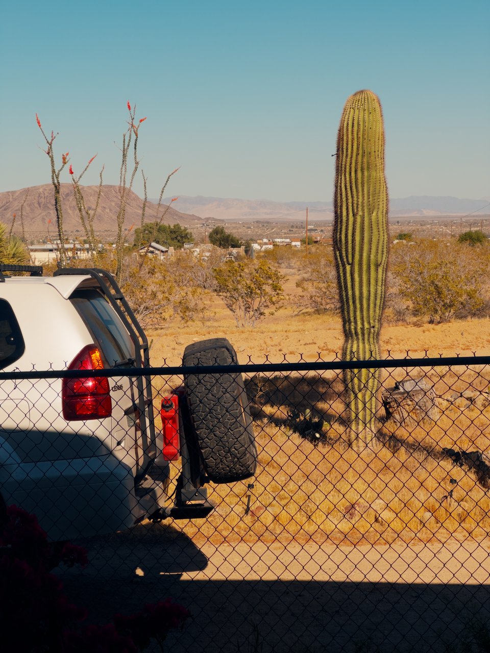 The very rear of our rig, with a spare tire sticking out, and a cactus just next to it, to the right.
