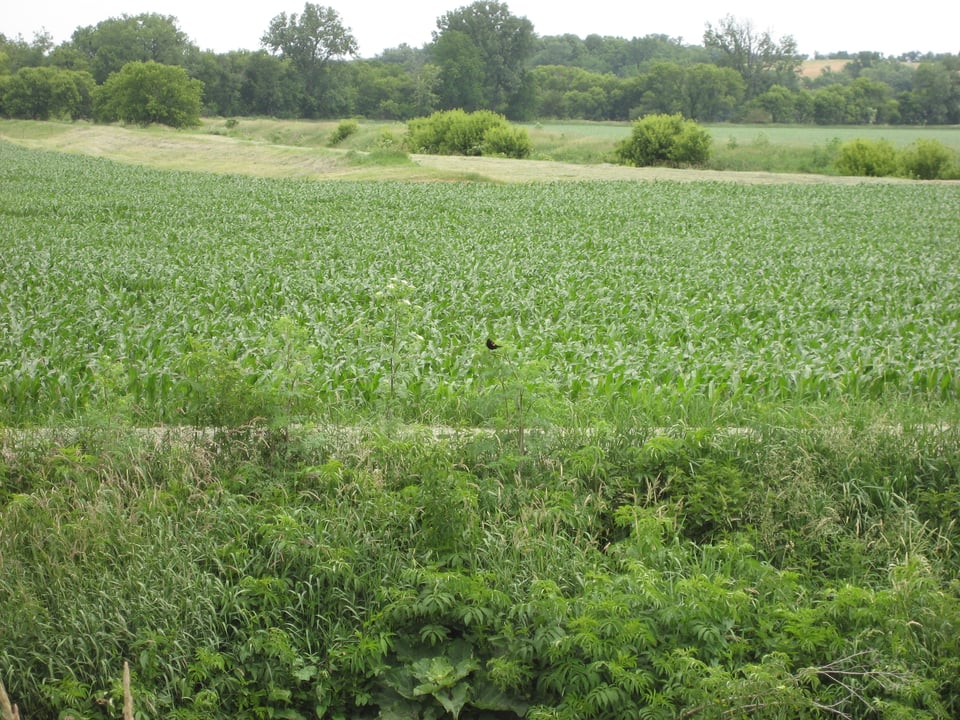 Carried Off to Oz - Myths and Facts about Tornadoes