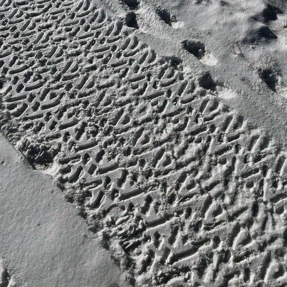 snowmobile tracks in the abandoned orchard by my house