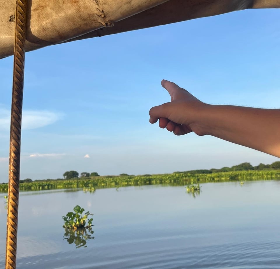 Photograph of a hand gesturing beyond the boat, towards the wetland vegetation.