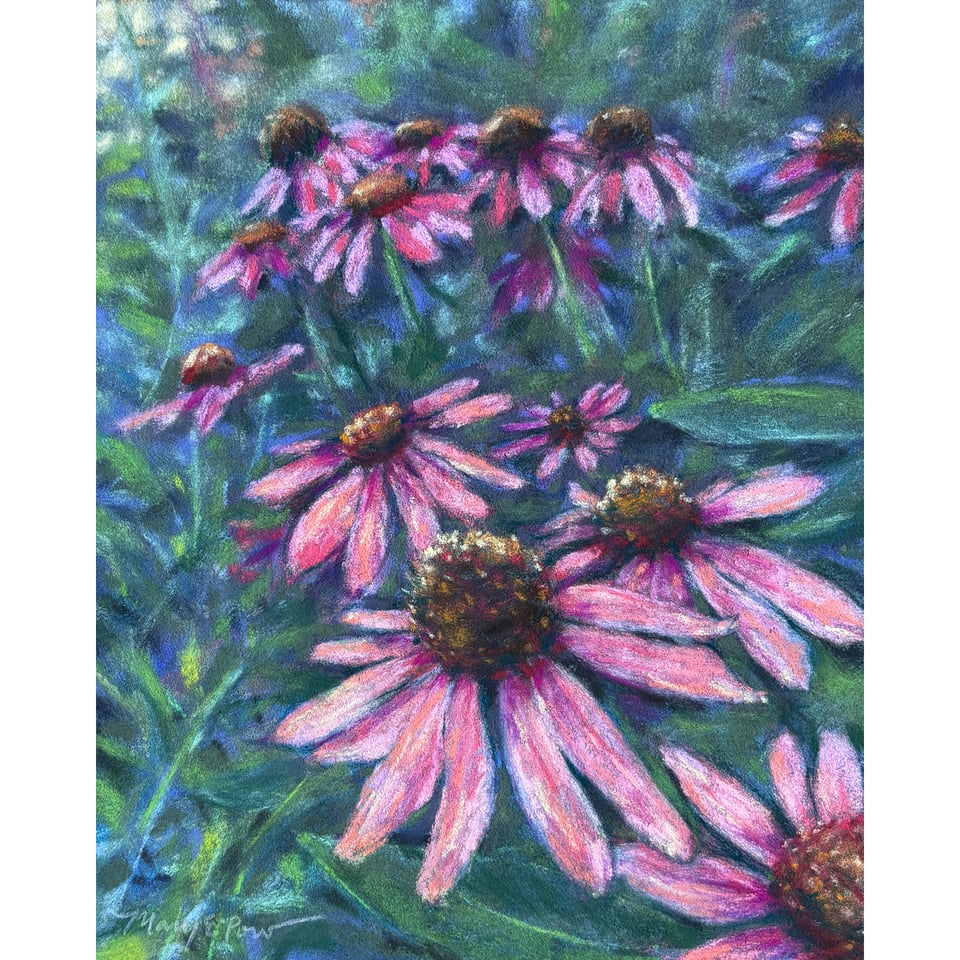 pastel painting of coneflowers
