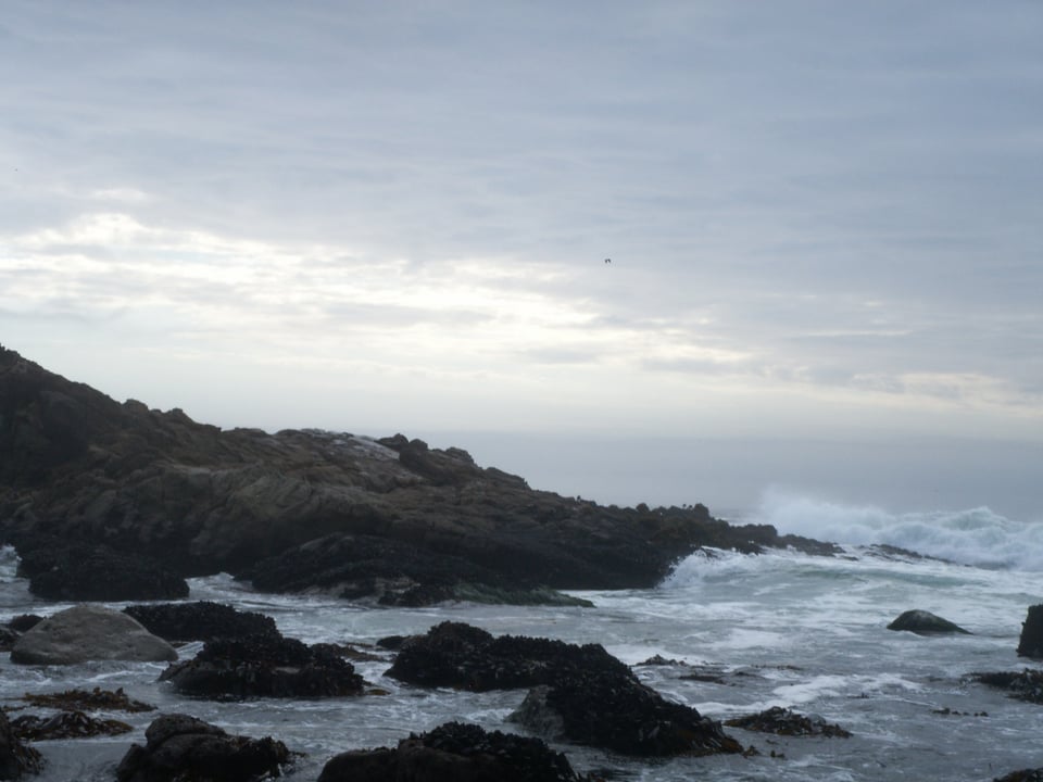 Waves splashing against coastline, Salt Point State Park, California