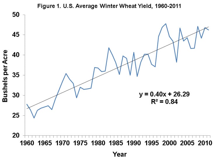graph of us winter wheat yields climbing upward, always.