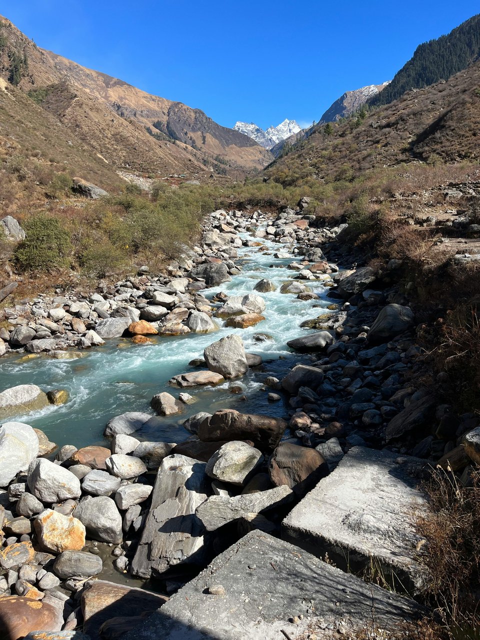Um rio com os Himalayas ao fundo.