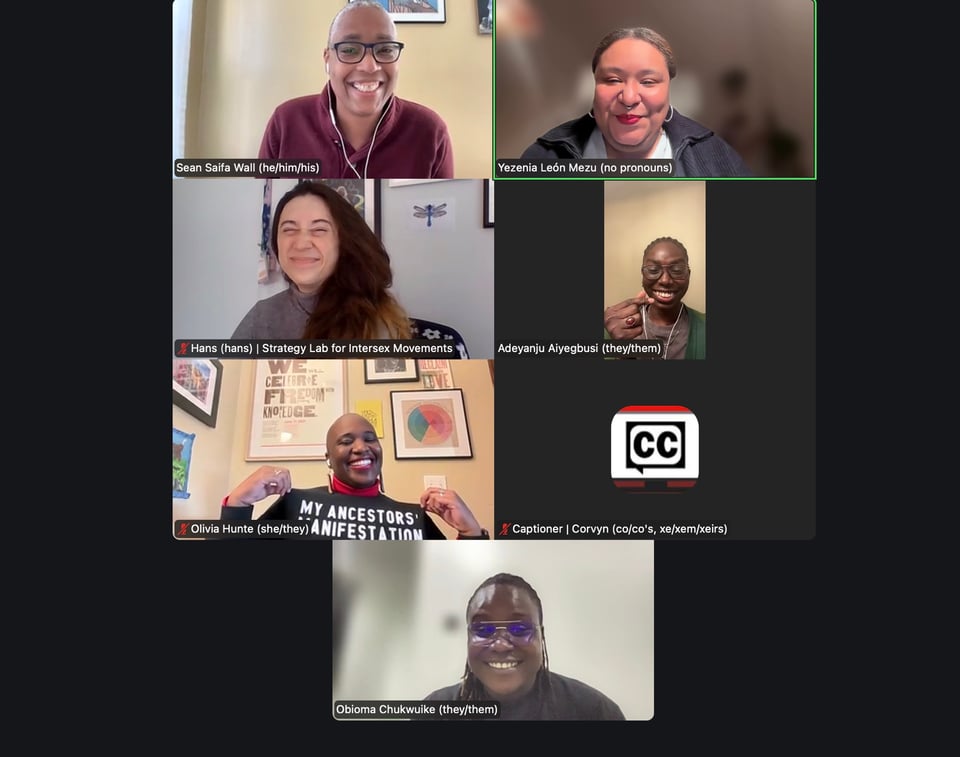 Smiling faces on zoom after the panel: Saifa, Yezenia, Hans, Adeyanju, Olivia, and Obioma. Olivia holds up a sweatshirt with the words 'My Ancestors Manifestation.'
