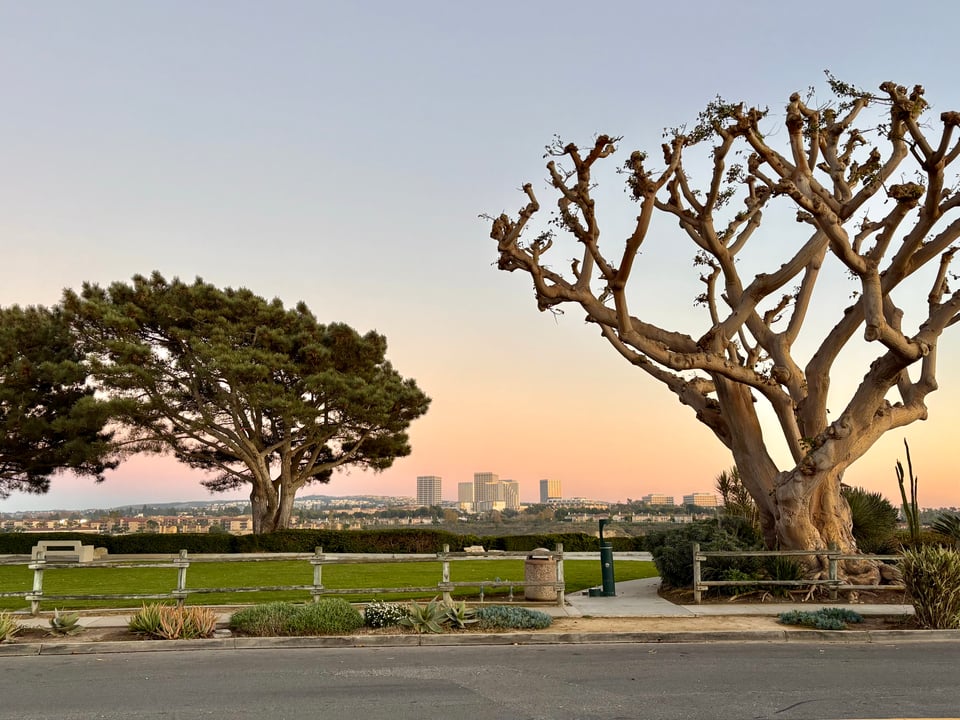 Dover Shores News - December