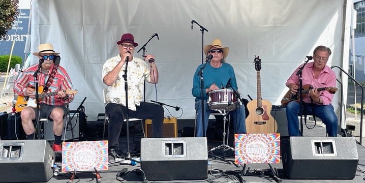 Performance photo of The Remotes band