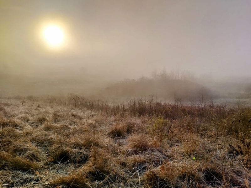 Mist shrouds a prairie area in Frontenac State Park on a late-winter morning. We saw more fog and mist in February than snow. What an unusual winter this has been! What weather will March bring? No one knows for sure. / Photo by Steve Dietz