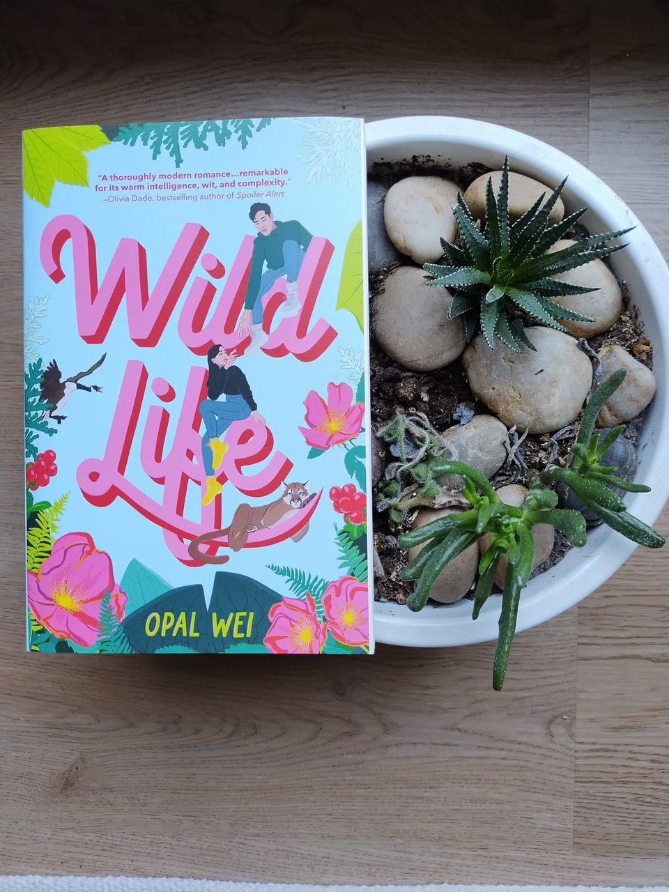 Tan wood floor background. Print copy of Wild Life by Opal Wei sitting on top of a pot filled with pebbles and succulents.