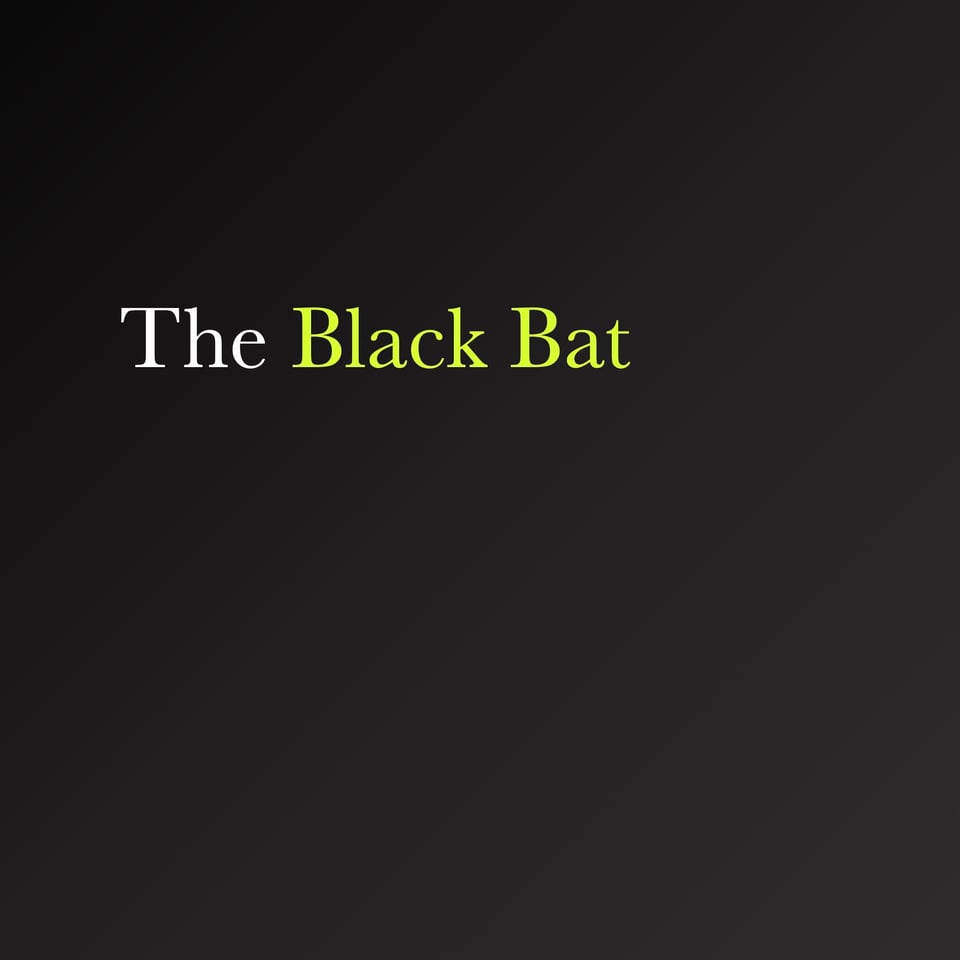 black bat / cover