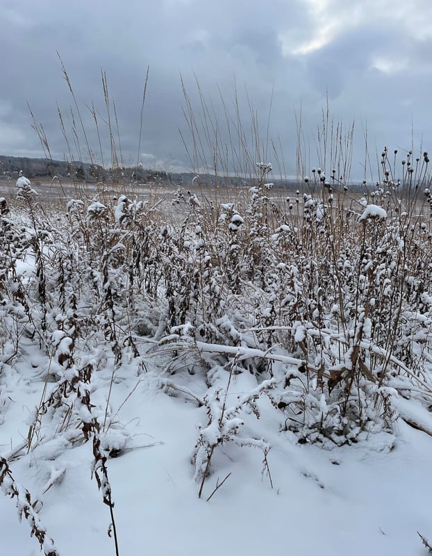 December’s color palette is so distinctive – so much contrast, and so many hues of blue. / Photo by Amy Jay