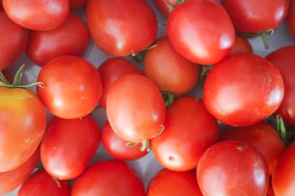 Red Roma tomatoes are piled in two shallow layers on a white serving plate