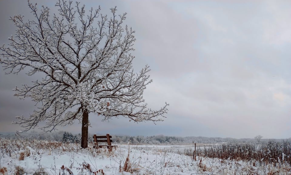 We hope you’ll join us Jan. 1 for the park’s self-guided First Day Hike. / Photo by Jake Gaster