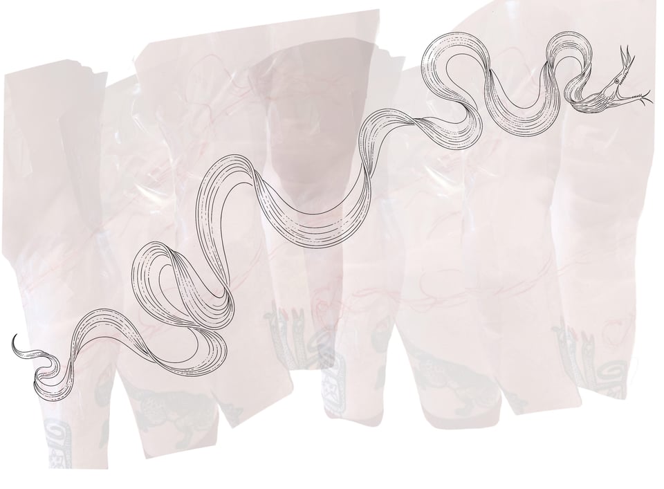 a sketch of a ribbon eel that is set over a very light set of images of my leg