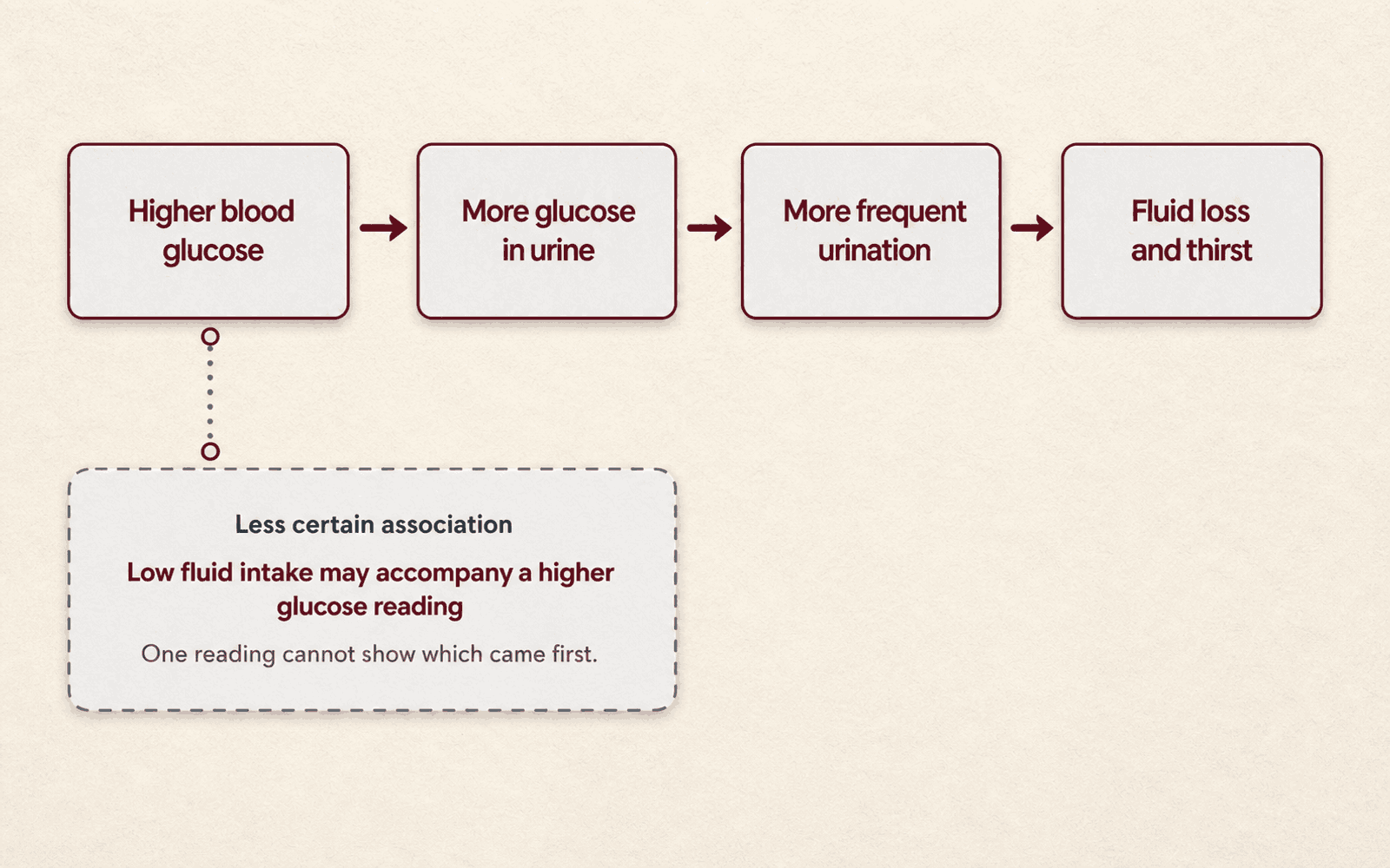 Four steps connect in one direction: higher blood glucose, more glucose in urine, more frequent urination, then fluid loss and thirst. A separate dotted, arrow-free note marks a less certain association in which low fluid intake may accompany a higher glucose reading.