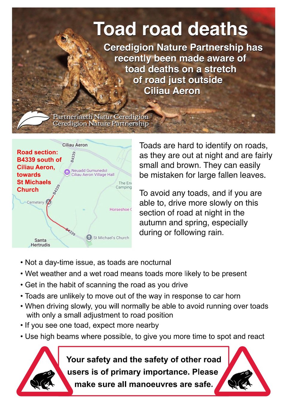 Toad road deaths poster, general advice plus site near Ciliau Aeron