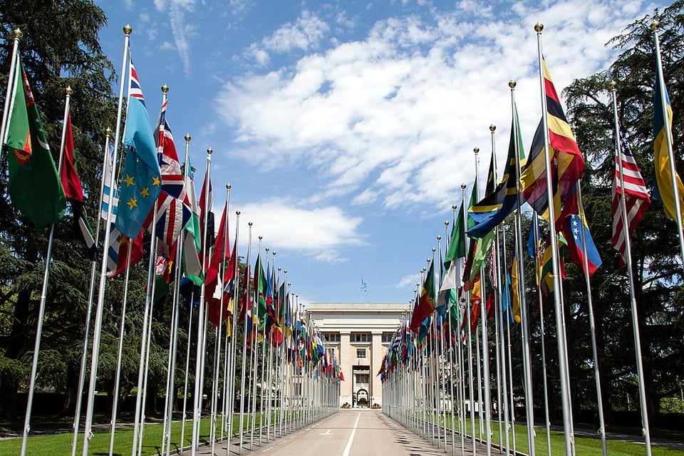 flags of the United Nations