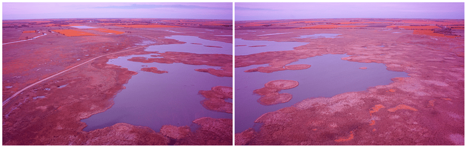 [Two images of land rendered in a bright pink and water in a darker purple. The sky is a slightly lighter purple than the water.]