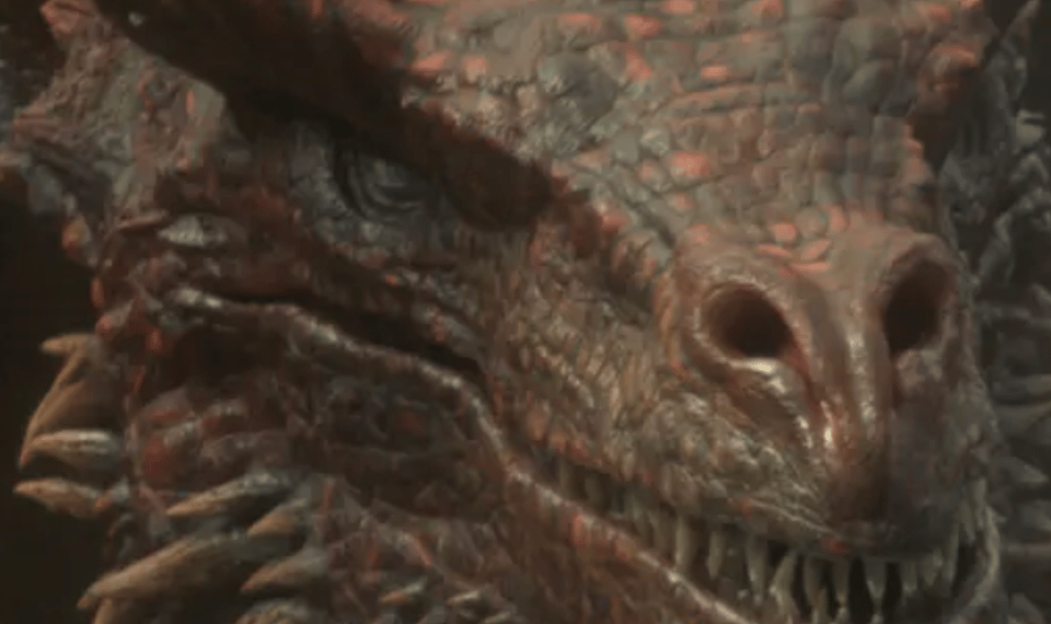 cropped view of a dragons face, from House of the Dragon