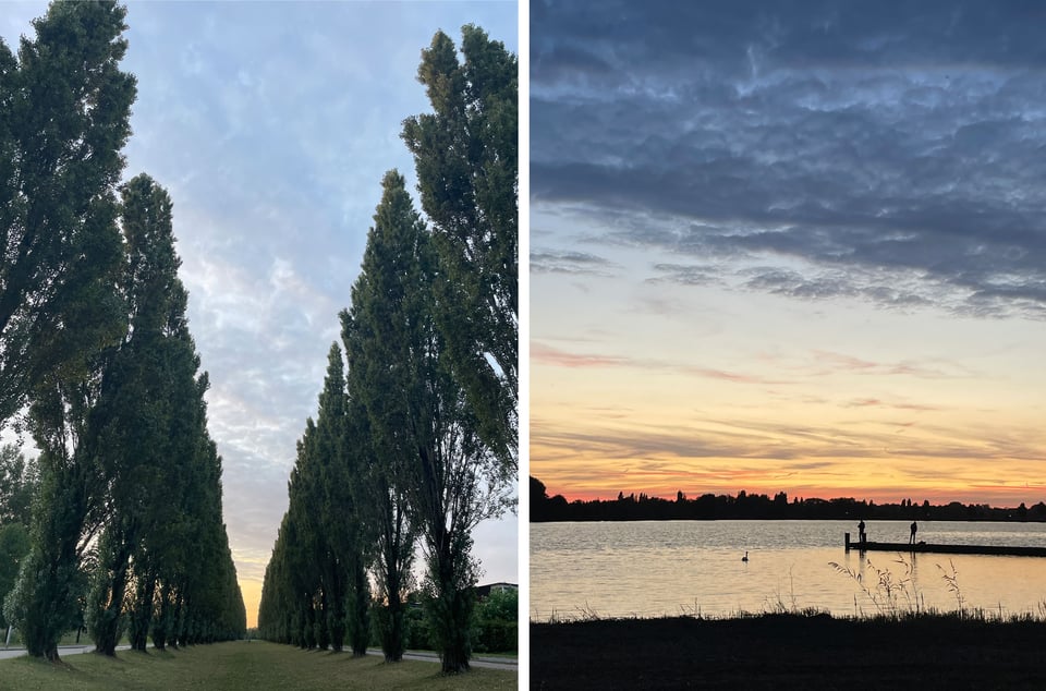 Two photos side by side. On the left: Two rows of poplar trees on either side of a grassy field go off into the distance. Twilight / sunset peeks out in the middle of the end of the trees.. On the right:   ‪Beatrice Murch‬  ‪@murchstudio.com‬ · 1mo Enjoy and I look forward to seeing your photos.         Beatrice Murch ‪@murchstudio.com‬ Home Explore Notifications Chat Feeds Lists Saved Profile Settings  New Post Search Friends Cat Pics Morning walk ☀️ Following Mutuals Popular With Friends Discover 📌 Artists: Trending Utrecht Nederlandse Journalisten Blue Report - Top Posts #BlueSkyArtShow Feed More feeds Trending  Mitch McConnell ChatGPT Cybertruck Mariners Caturday Feedback • Privacy • Terms • Help  Two men fishing off a pier and a swan in the lake are silhouetted against the golden sky. Two men fishing off a pier and a swan in the lake are silhouetted against the golden sky.
