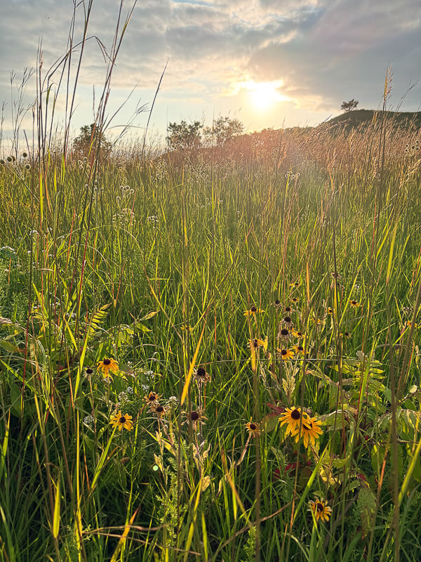 The August sun sets on our prairie. / Photo by Tracie Henkel