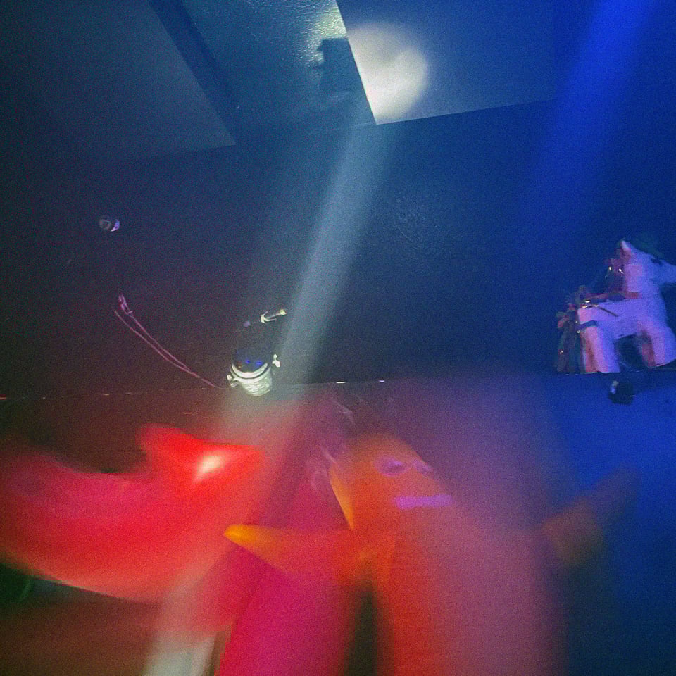 two wacky wigglers dancing so hard they could not be accurately captured by the camera