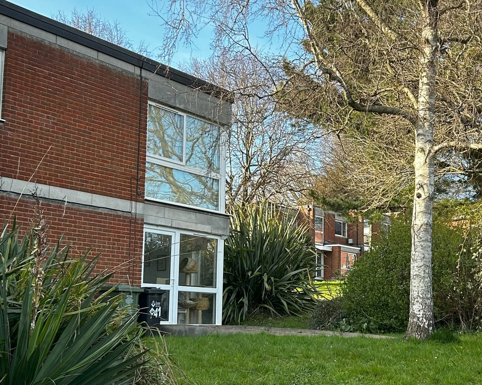 1960s brickclad flats and terraced houses nestled in a mature garden that includes birch trees and huge grasses so that the terrace in the distance is barely visible. The corner of the flats in the foreground has large full length plate glass windows on both sides, creating lots of light and reflecting the sky. Peaking through the pampas grass in the very foreground are a couple of wheelie bins.